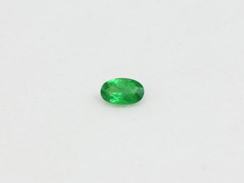 Tsavorite Garnet (0.24 carats)
